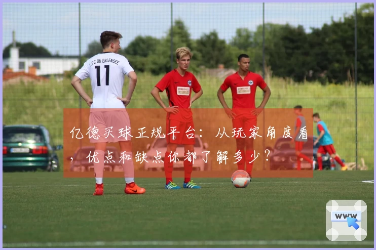 亿德买球正规平台：从玩家角度看，优点和缺点你都了解多少？