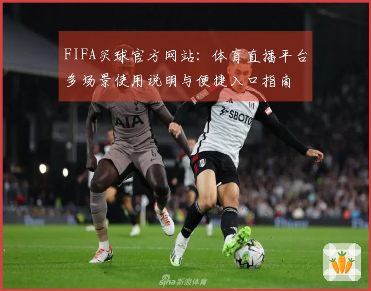 FIFA买球官方网站：体育直播平台多场景使用说明与便捷入口指南