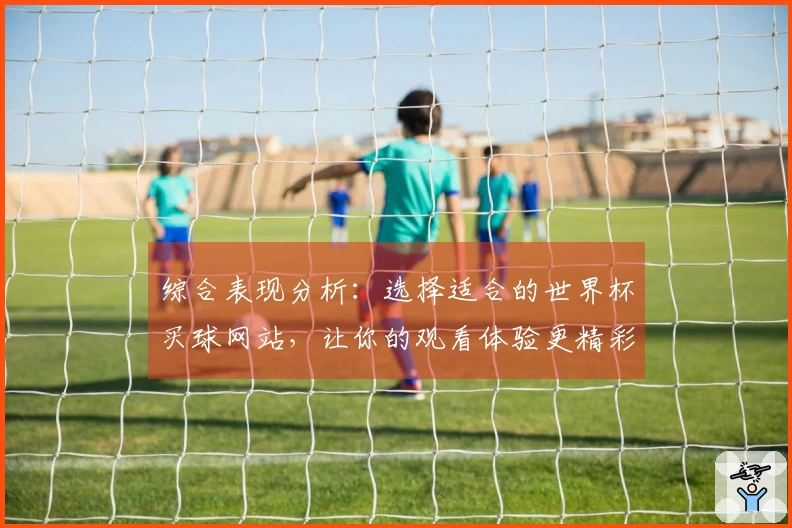 综合表现分析：选择适合的世界杯买球网站，让你的观看体验更精彩