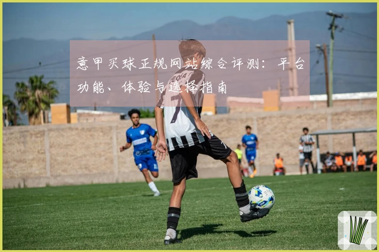 意甲买球正规网站综合评测：平台功能、体验与选择指南